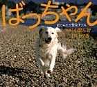 ばっちゃん 助けられた繁殖犬たち
