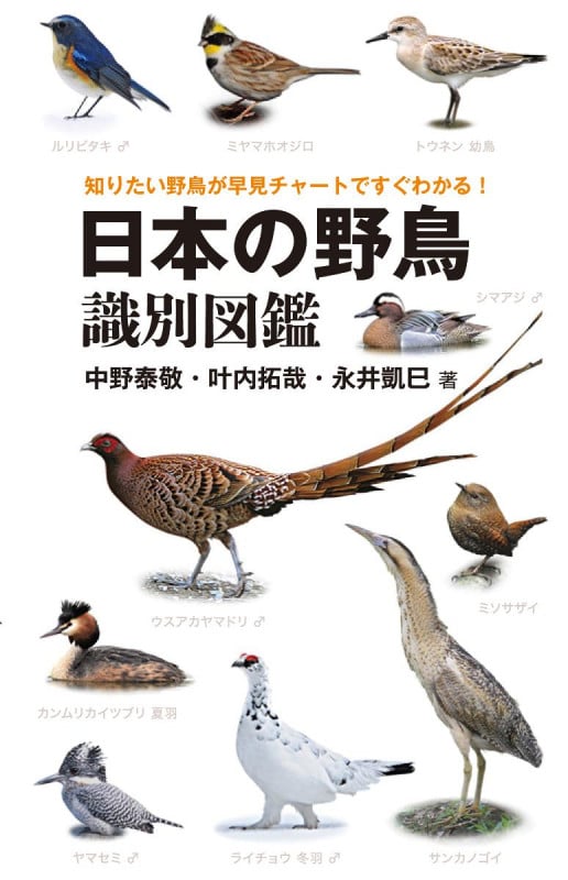 日本の野鳥識別図鑑 知りたい野鳥が早見チャートですぐわかる!