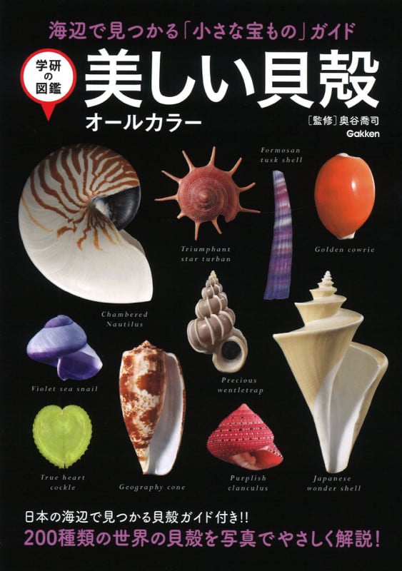 美しい貝殻 オールカラー 海辺で見つかる「小さな宝もの」ガイド (学研の図鑑)