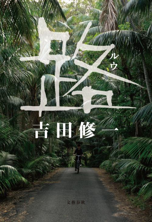 路の詳細を見る