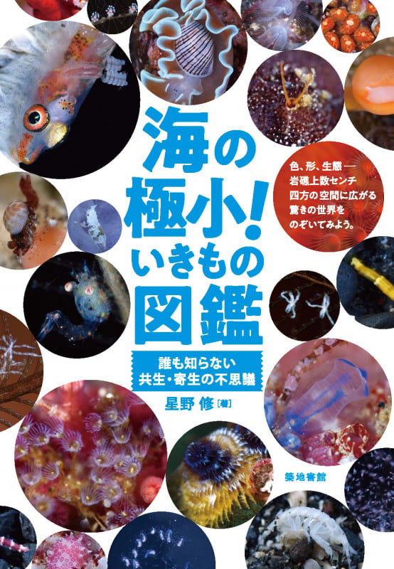 海の極小!いきもの図鑑 誰も知らない共生・寄生の不思議