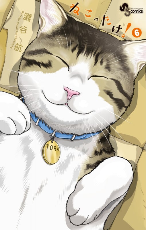 ねこったけ! (6) (少年サンデーコミックス)