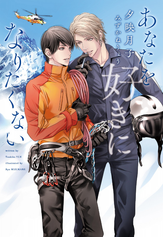 あなたを好きになりたくない (ディアプラス文庫)