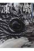凍る嘴 厳冬のハンター[ヤマセミ]