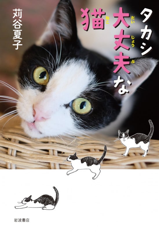 タカシ 大丈夫な猫の詳細を見る