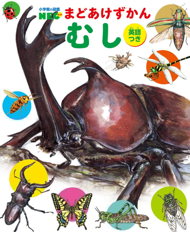 まどあけずかん むし 英語つき (小学館の図鑑NEO)