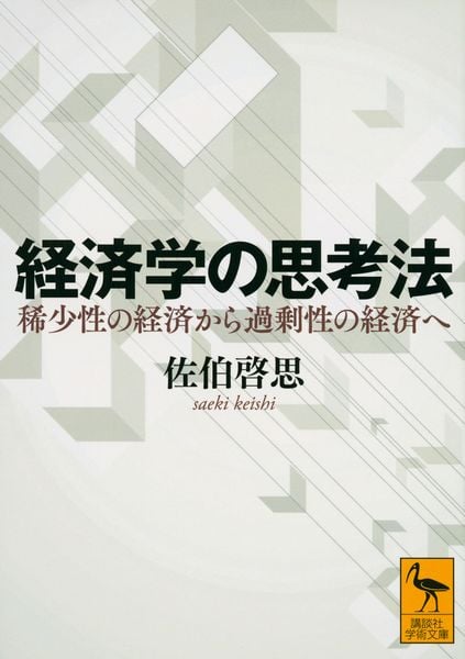 経済学の思考法 稀少性の経済から過剰性の経済へ (講談社学術文庫)