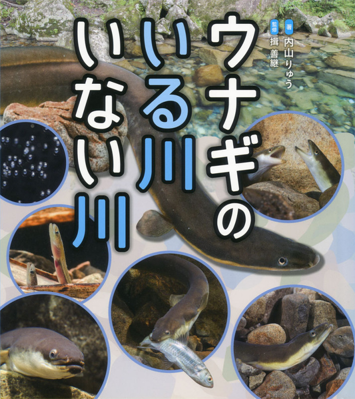 ウナギのいる川 いない川 (ポプラサイエンスランド 5)