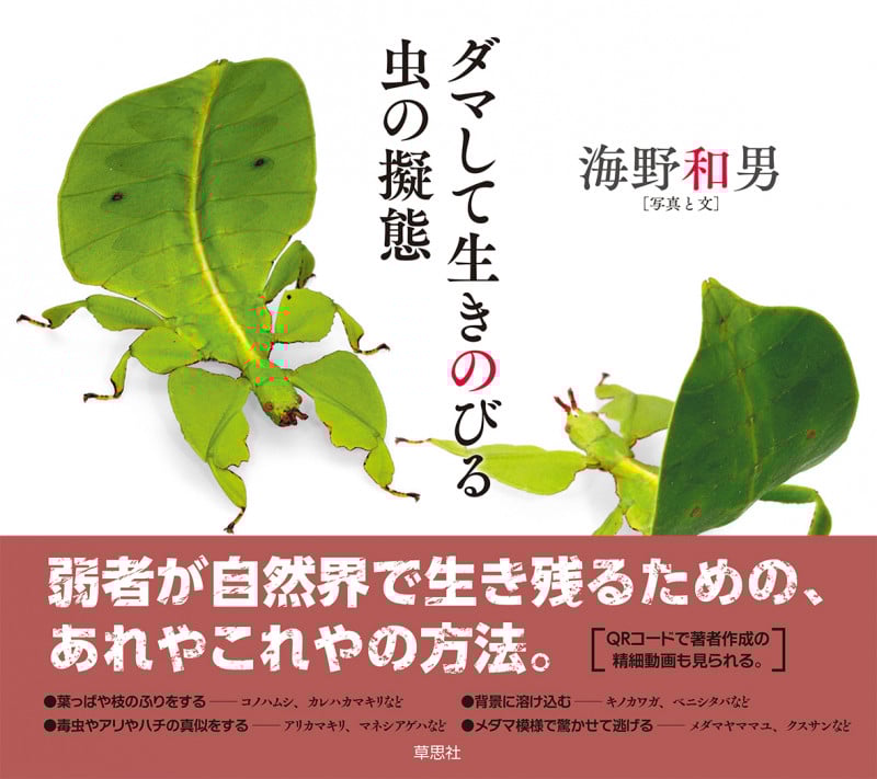 ダマして生きのびる虫の擬態