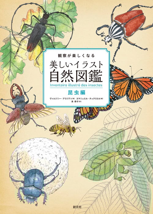 観察が楽しくなる美しいイラスト自然図鑑 昆虫編