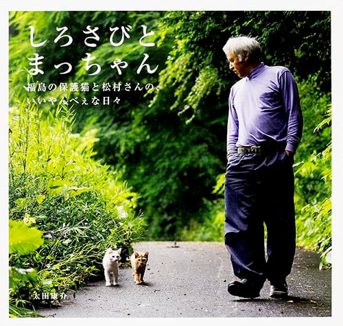 しろさびとまっちゃん 福島の保護猫と松村さんの、いいやんべぇな日々 