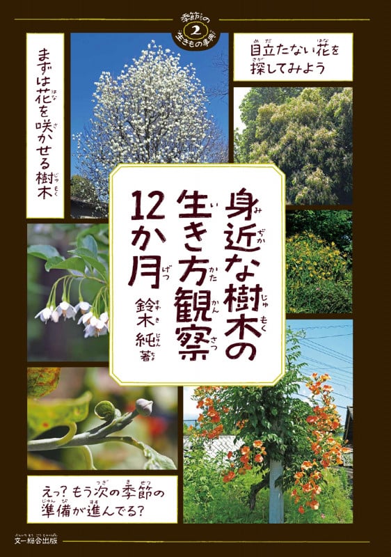 身近な樹木の生き方観察12か月 (季節の生きもの事典 2)