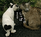 写真集 ハートのしっぽ 岩合光昭写真集