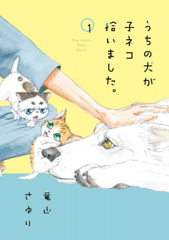 うちの犬が子ネコ拾いました。 (1) (フラワーCスペシャル)