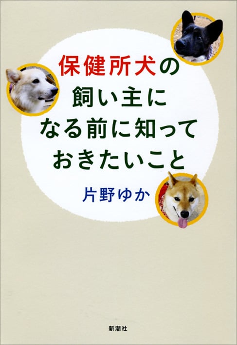 保健所犬の飼い主になる前に知っておきたいこと