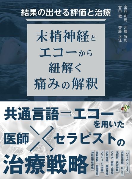 結果の出せる評価と治療 ー末梢神経とエコーから紐解く痛みの解釈ー