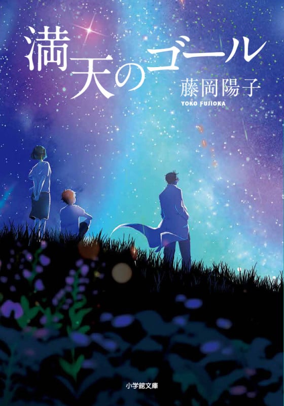 満天のゴール (小学館文庫)