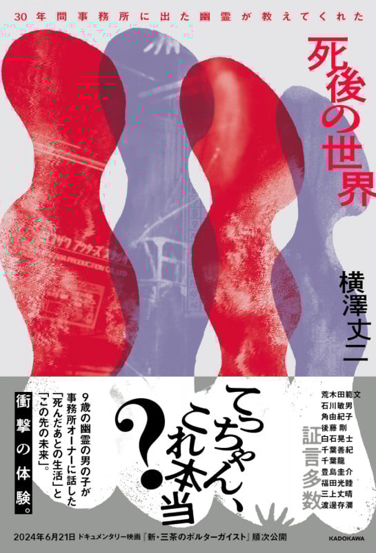 死後の世界 30年間事務所に出た幽霊が教えてくれたの詳細を見る