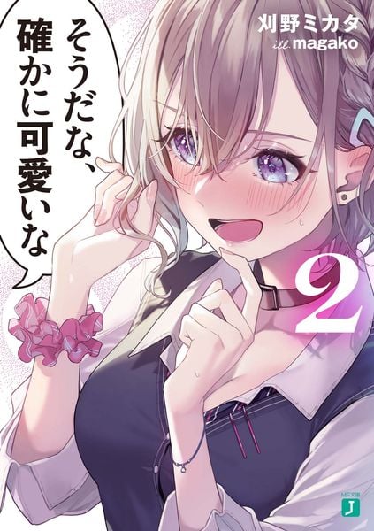 そうだな、確かに可愛いな2 (MF文庫J)