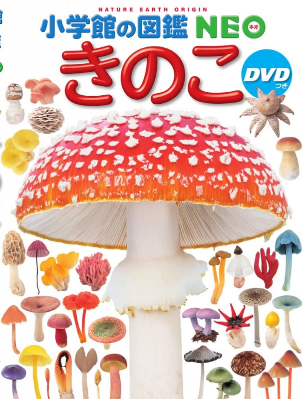 小学館の図鑑NEO きのこ DVDつき (小学館の図鑑 NEO)