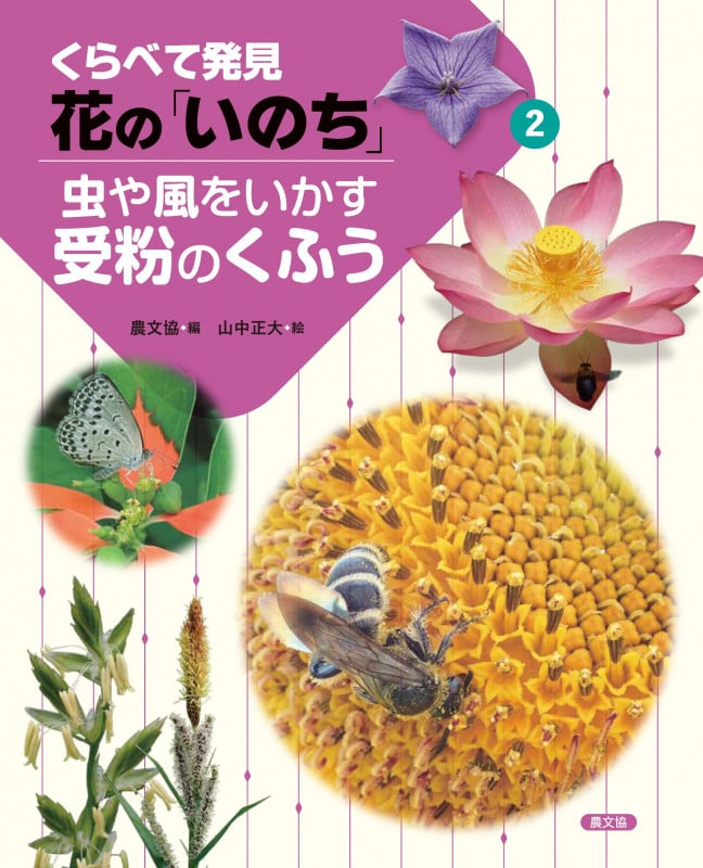 虫や風をいかす受粉のくふう (2) (くらべて発見 花の「いのち」)