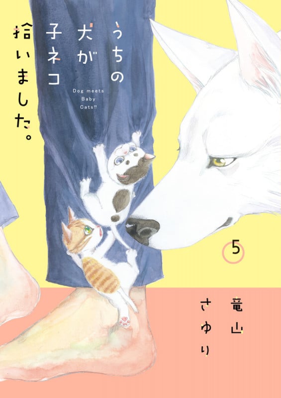 うちの犬が子ネコ拾いました。 (5) (フラワーCスペシャル)