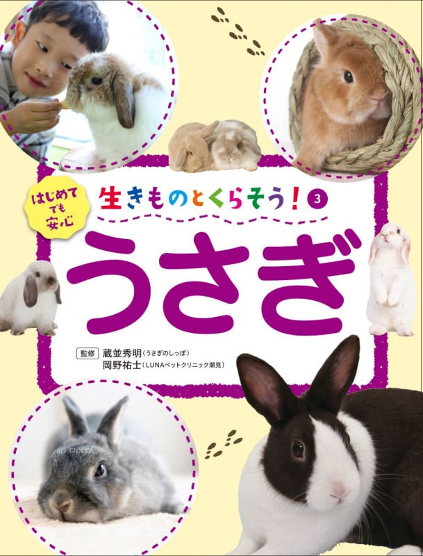 生きものとくらそう! うさぎ (3)
