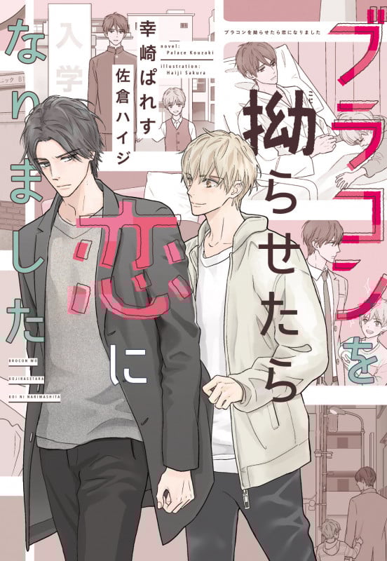 ブラコンを拗らせたら恋になりました (ディアプラス文庫)