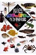 原色ガチャガチャ生き物図鑑