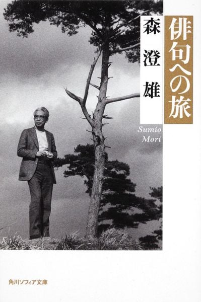 俳句への旅 (角川ソフィア文庫)の詳細を見る