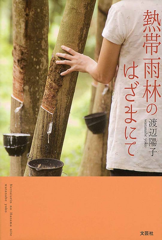 熱帯雨林のはざまにて