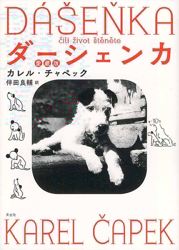 ダーシェンカ 愛蔵版