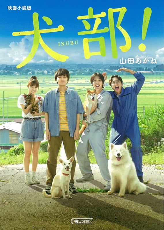 映画小説版 犬部! (朝日文庫)