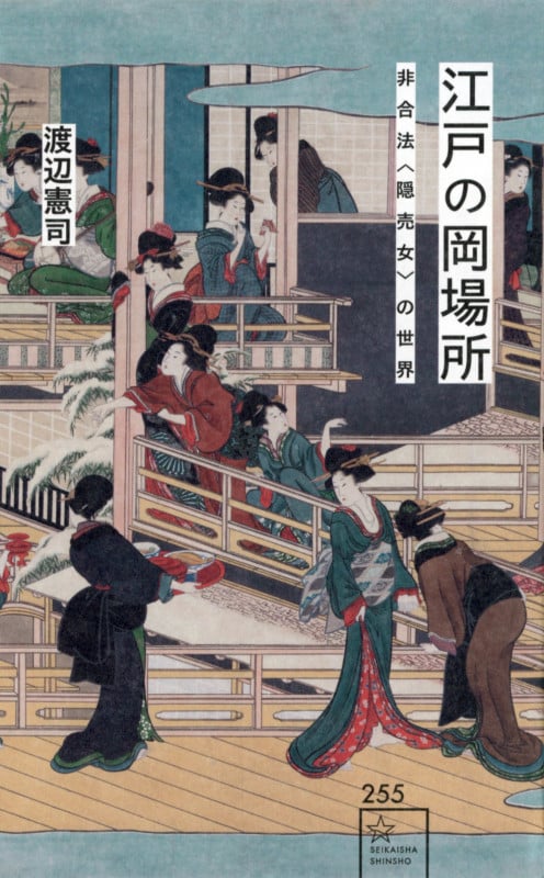 江戸の岡場所 非合法〈隠売女〉の世界 (星海社新書 255)