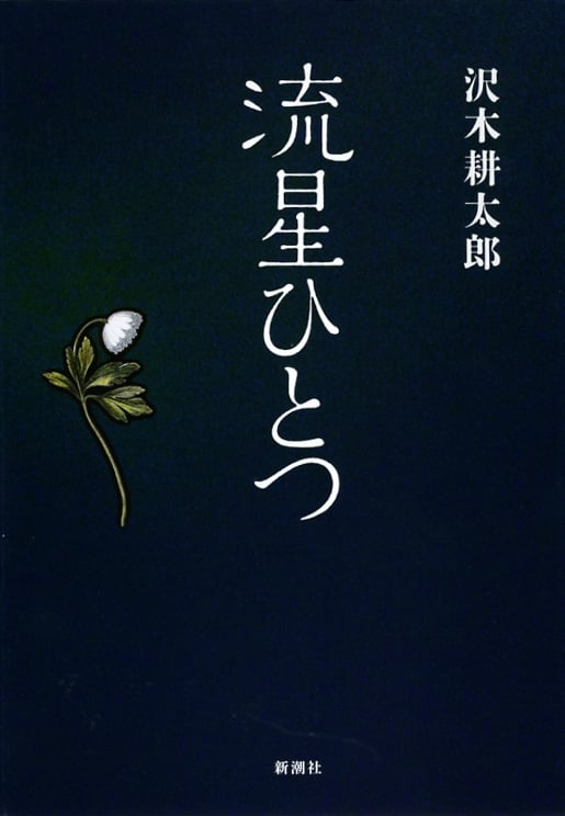 流星ひとつ