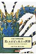 美しきエビとカニの世界 (杉浦千里博物画図鑑)の詳細を見る