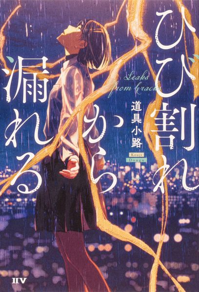 ひび割れから漏れるの詳細を見る