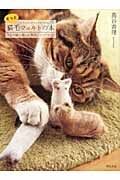 もっと猫毛フェルトの本 うちの猫と楽しむ簡単ハンドクラフト