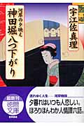 神田堀八つ下がり 河岸の夕映えの詳細を見る