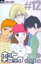 ホットギミック (12) (フラワーC)