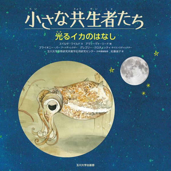 光るイカのはなし (小さな共生者たち)