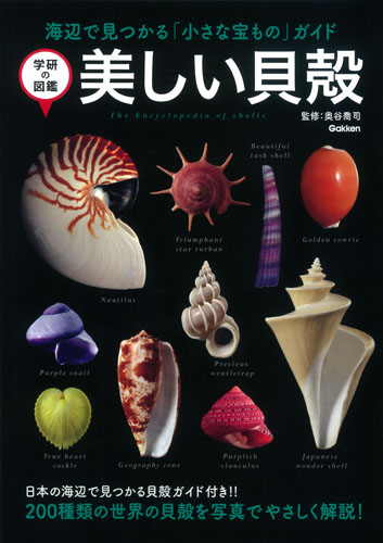 美しい貝殻 海辺で見つかる「小さな宝もの」ガイド (学研の図鑑)