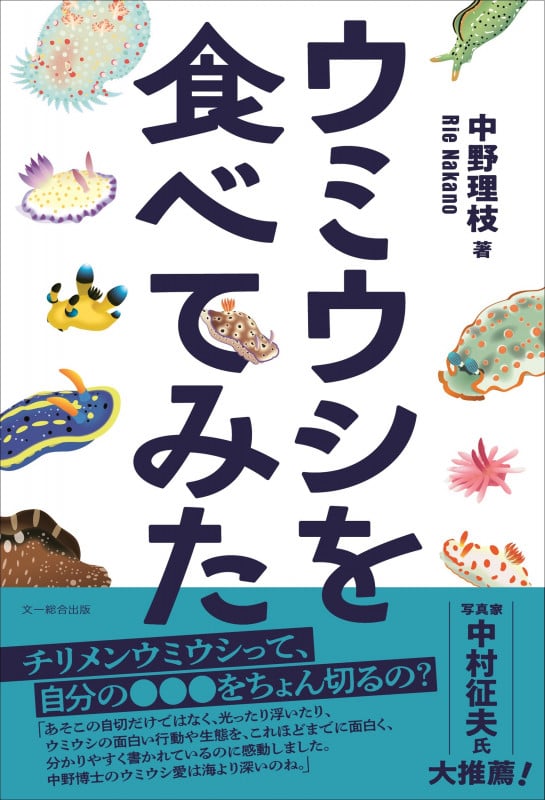 ウミウシを食べてみた