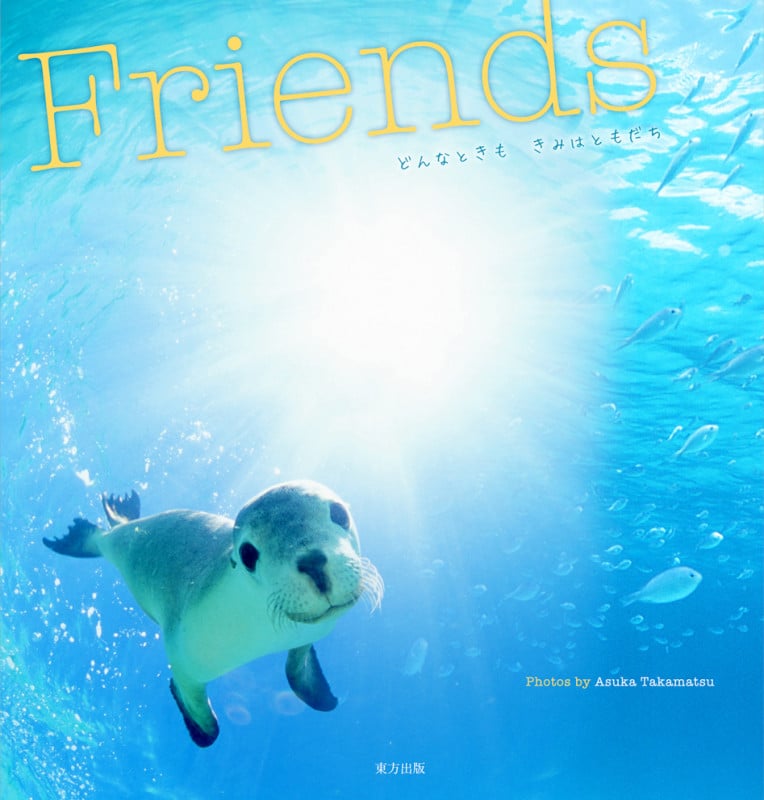 Friends どんなときもきみはともだち
