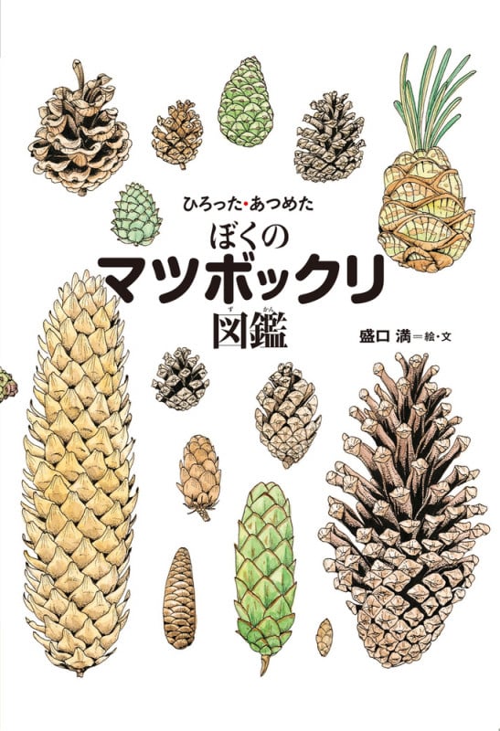 ひろった・あつめたぼくのマツボックリ図鑑 (ちしきのぽけっと)