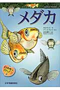 いのちのかんさつ メダカ (3)