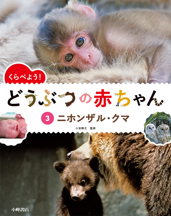 ③ニホンザル・クマ(くらべよう! どうぶつの赤ちゃん)の詳細を見る