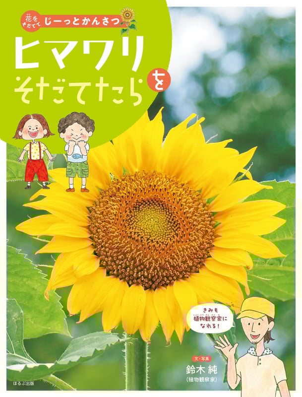 ヒマワリをそだてたら (花をそだててじーっとかんさつ)