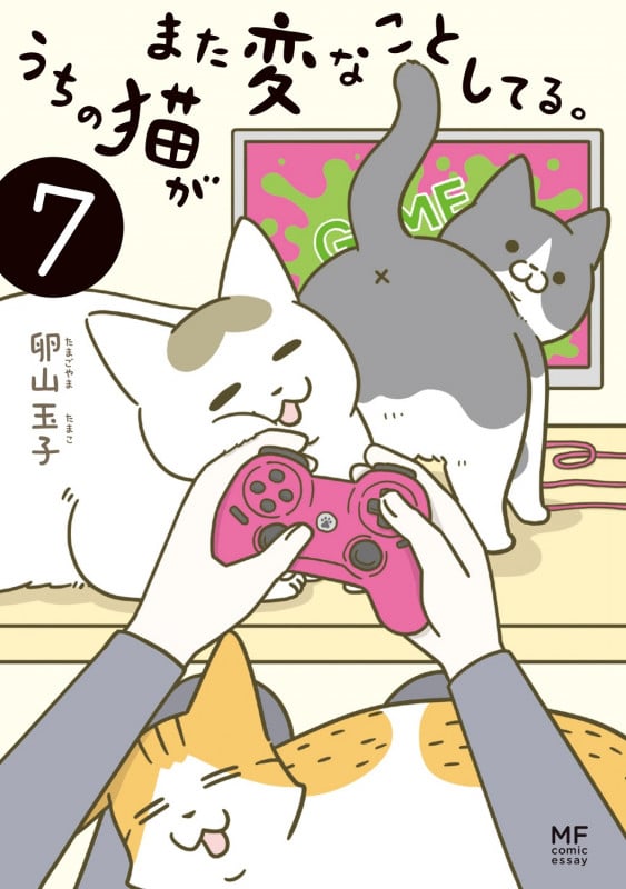 うちの猫がまた変なことしてる。7 (7)
