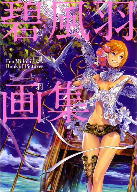 艶舞 小林智美画集(軽装版) 心拍数のリズムで | 小林智美のあらすじ
